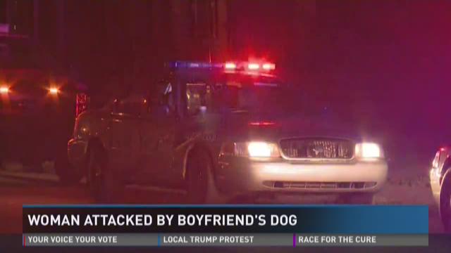 Woman attacked by dog, has significant injuries | whas11.com