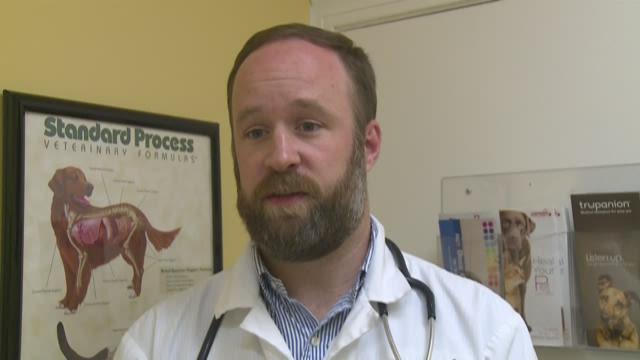 Local Vets Advise Dog Owners To Get Dog Flu Vaccine Whas11 Com